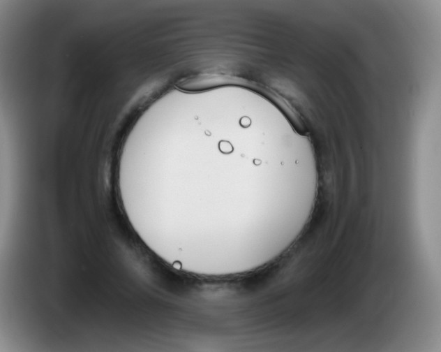X0000084000686200703091906