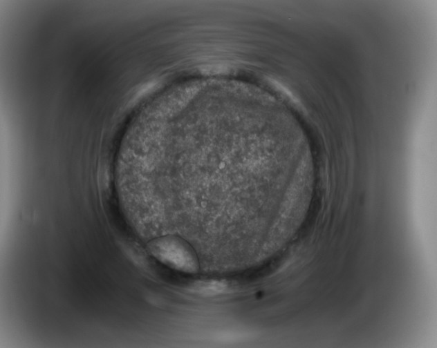 X0000084000687200703091906