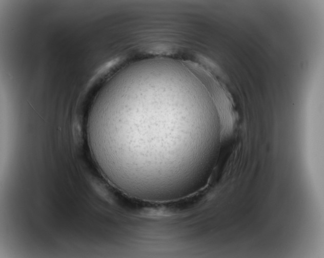 X0000084000688200703091906