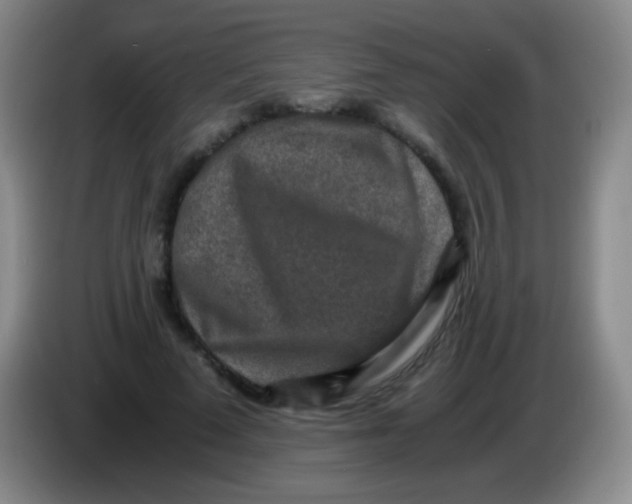X0000084000689200703091906