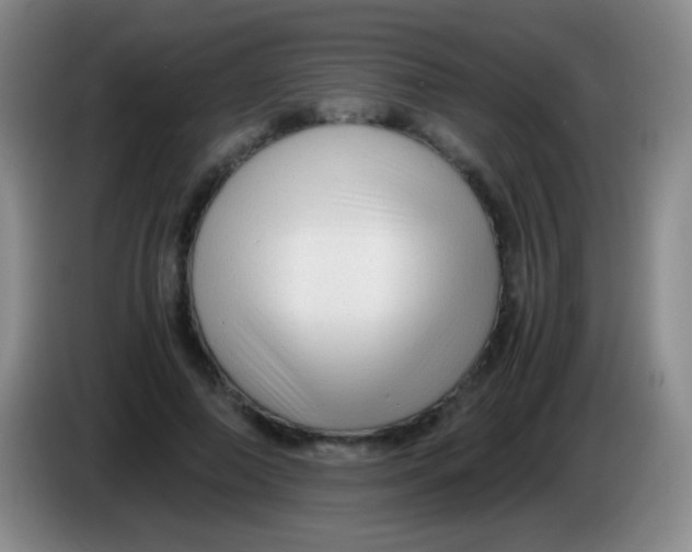 X0000084000690200703091906