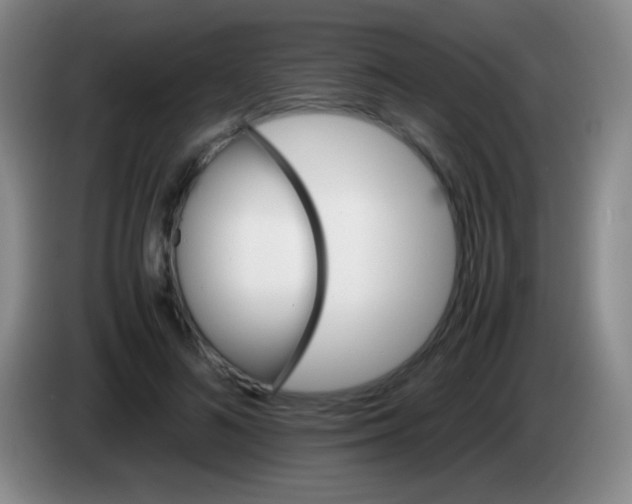 X0000084000692200703091906