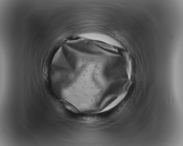 X0000084000693200703091906