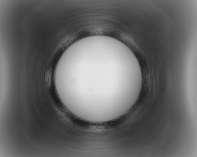 X0000084000694200703091906