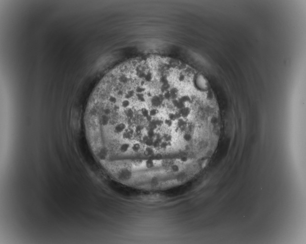 X0000084000695200703091906