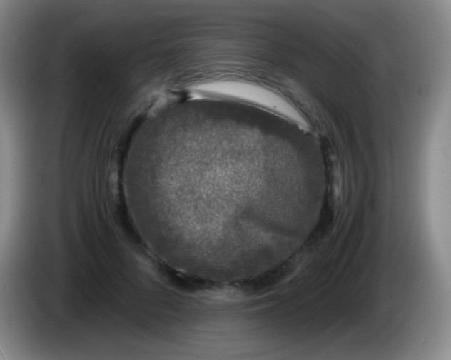 X0000084000696200703091906