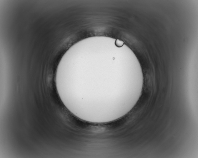 X0000084000698200703091906