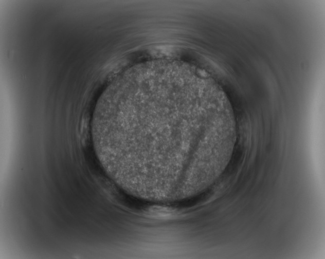 X0000084000699200703091906