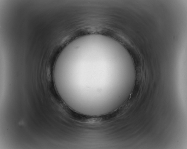 X0000084000700200703091906