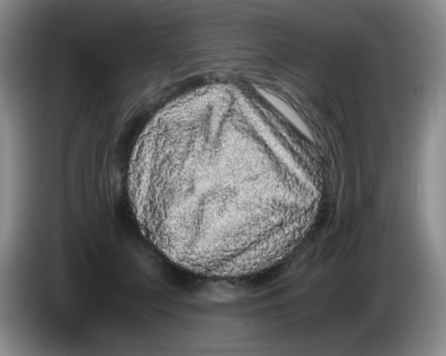 X0000084000703200703091906