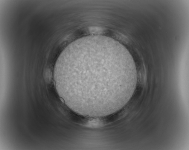 X0000084000705200703091906