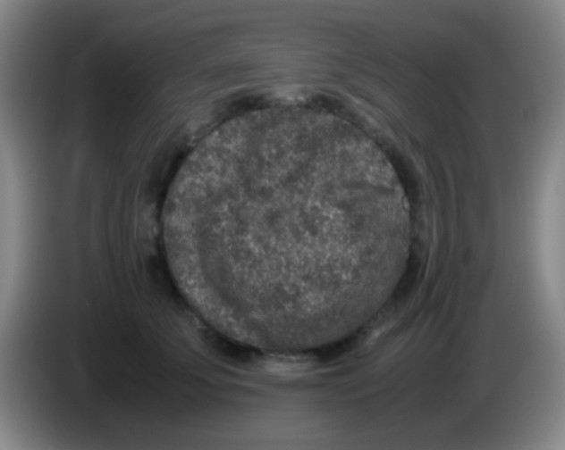 X0000084000707200703091906
