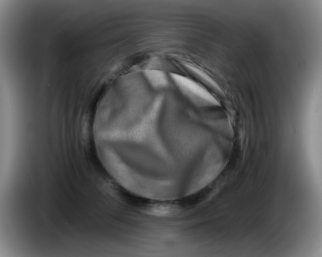 X0000084000708200703091906