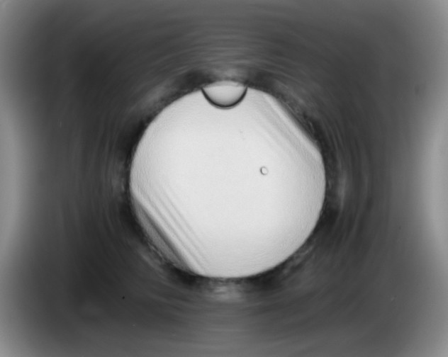 X0000084000710200703091906
