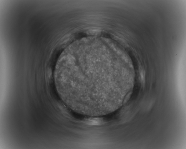 X0000084000711200703091906