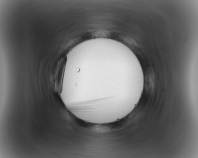 X0000084000714200703091906