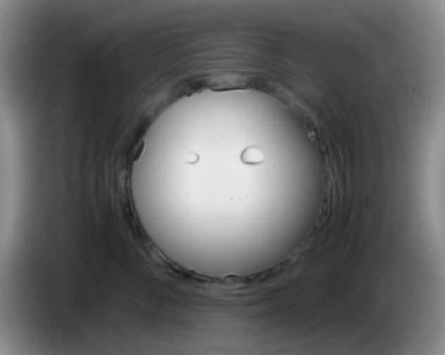 X0000084000716200703091906