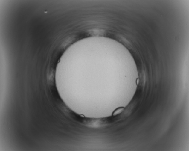 X0000084000717200703091906