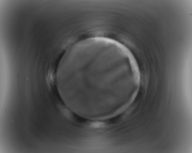 X0000084000718200703091906