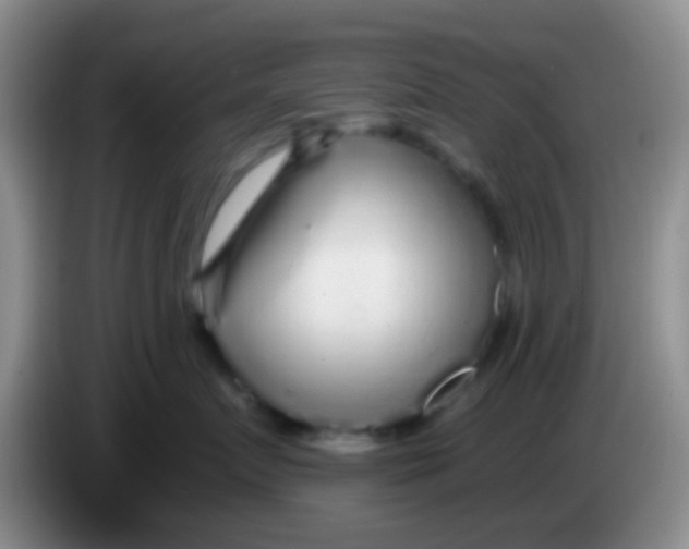 X0000084000719200703091906
