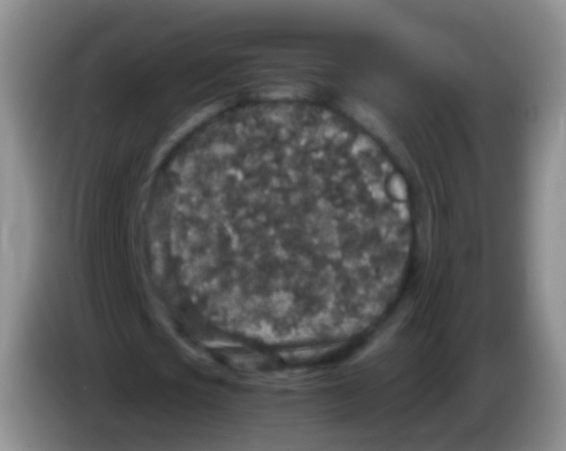 X0000084000721200703091905