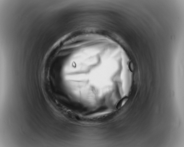 X0000084000722200703091905