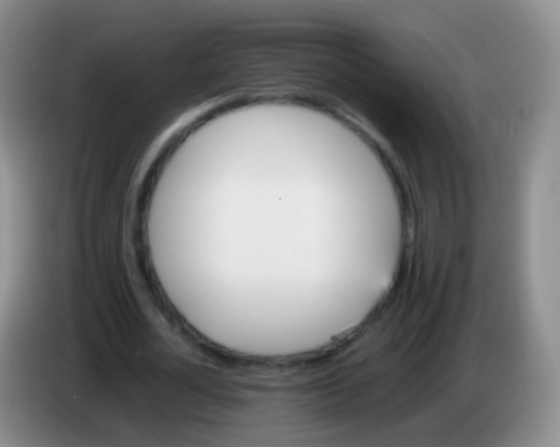 X0000084000724200703091905
