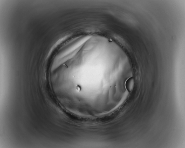 X0000084000727200703091905