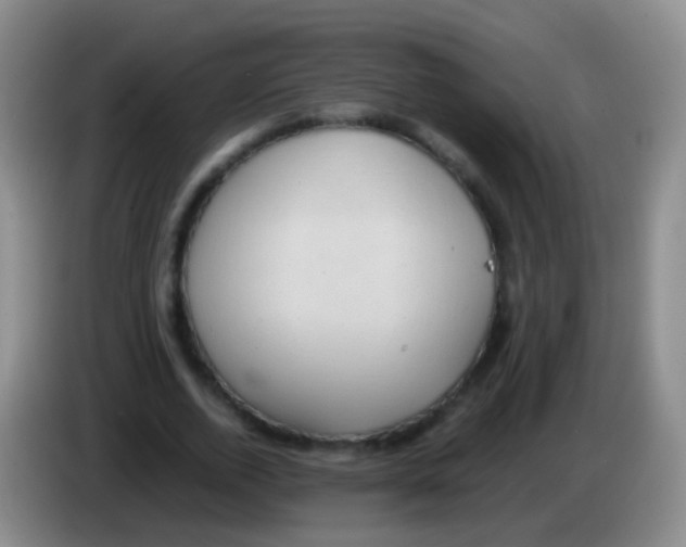 X0000084000728200703091905