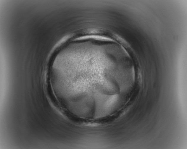 X0000084000730200703091905