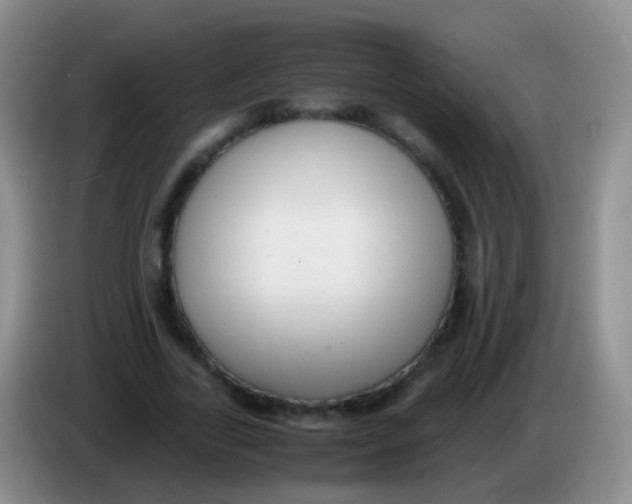 X0000084000731200703091905