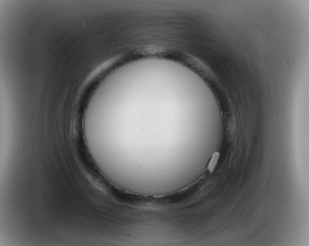 X0000084000732200703091905