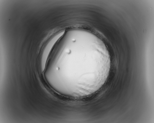 X0000084000734200703091905