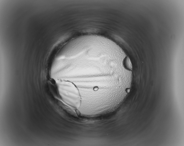 X0000084000735200703091905