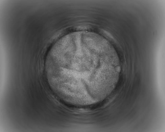 X0000084000737200703091905