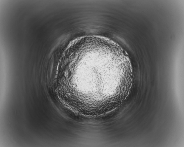 X0000084000738200703091905