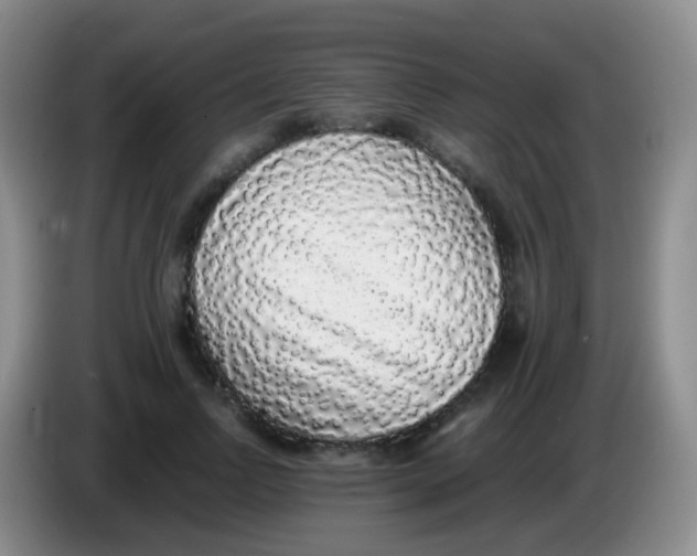 X0000084000742200703091905
