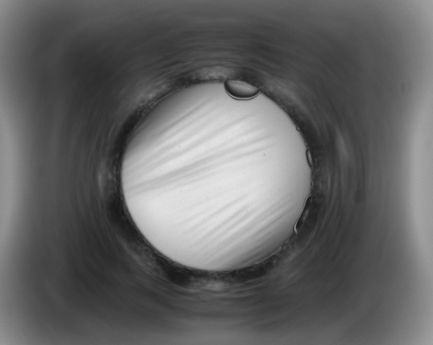 X0000084000743200703091905