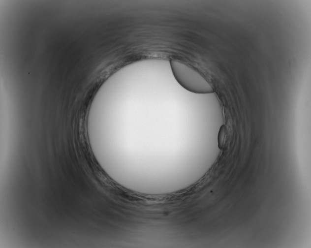X0000084000744200703091905