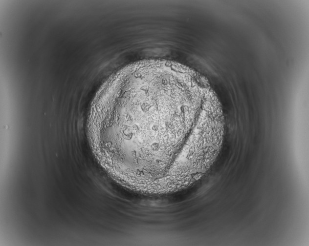 X0000084000745200703091905