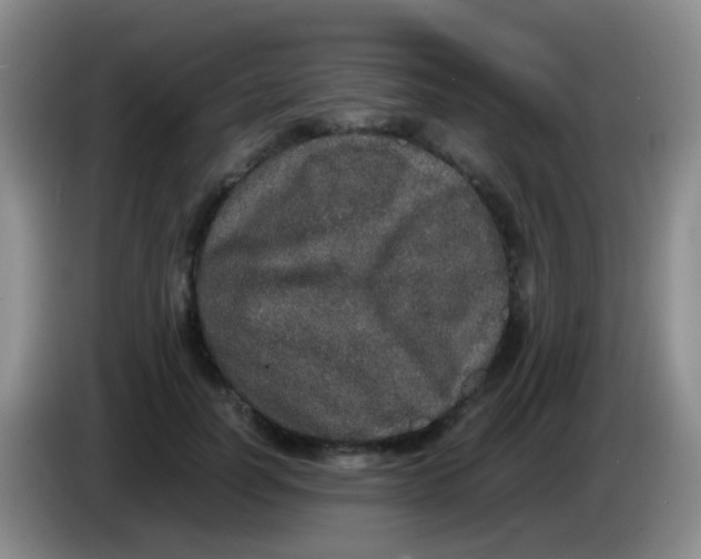 X0000084000746200703091905