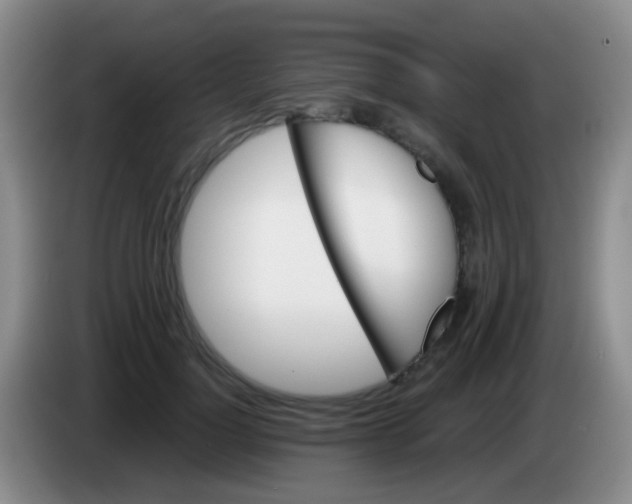 X0000084000748200703091905