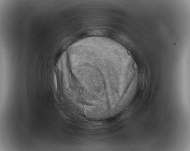 X0000084000749200703091906