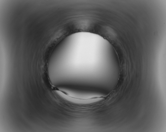 X0000084000750200703091906