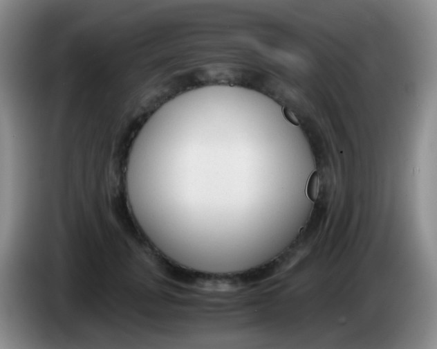 X0000084000751200703091906