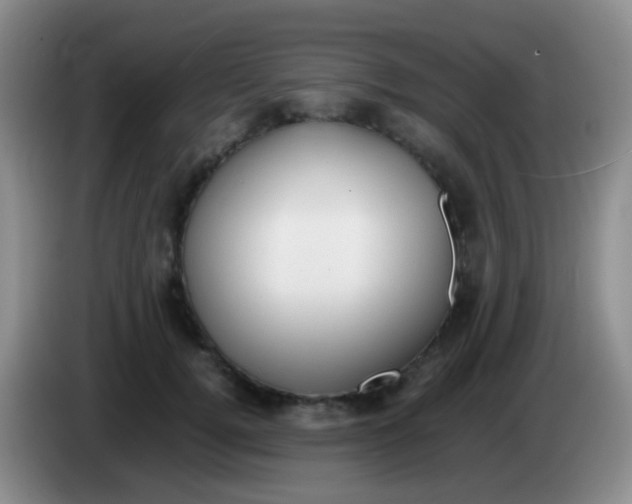 X0000084000752200703091906