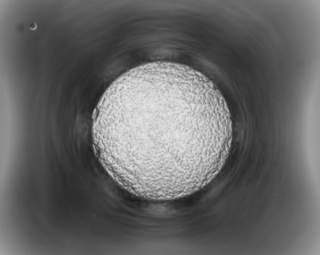 X0000084000753200703091906