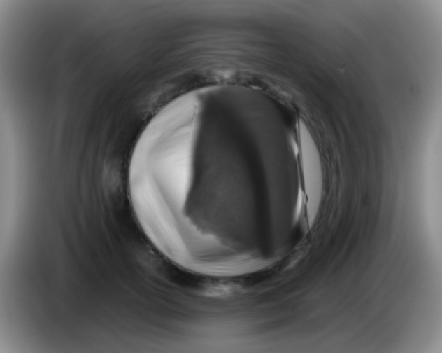 X0000084000754200703091906
