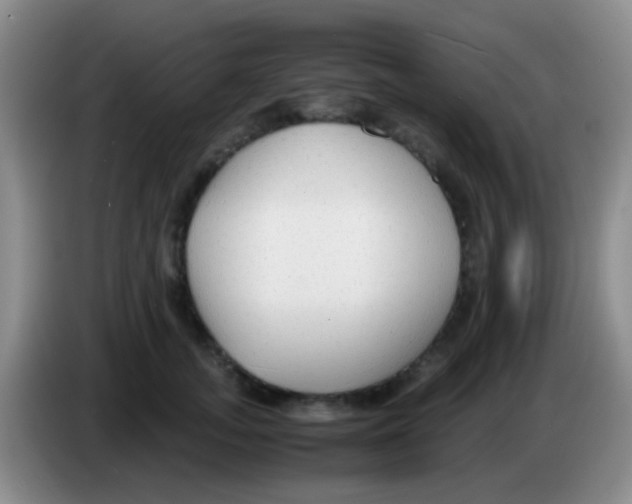 X0000084000755200703091906