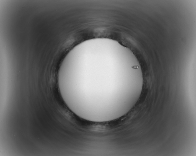 X0000084000756200703091906